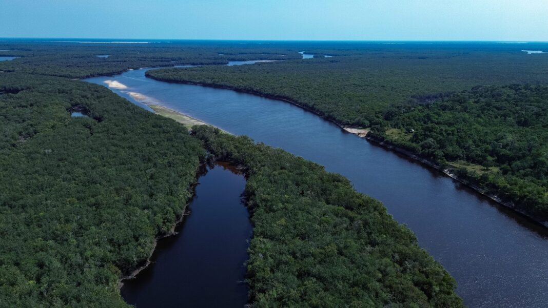 Senador aciona Justiça para barrar demarcação de terra indígena no AM Senador aciona Justiça para barrar demarcação de terra indígena no AM