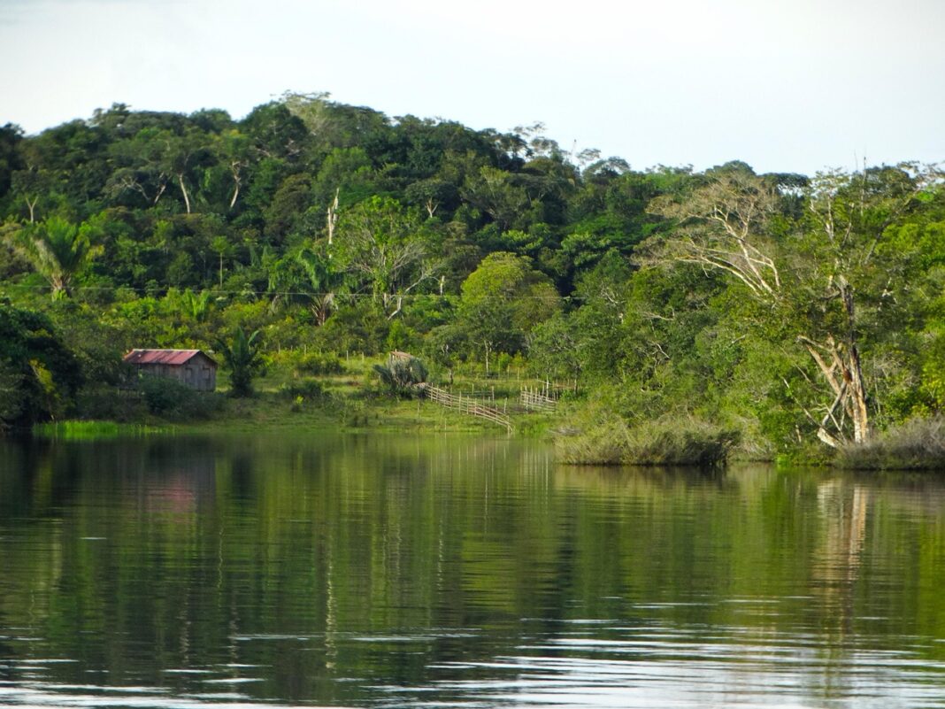 Desafios na Região do Alto Rio Negro: Cheia dos Rios Afeta Comunidades