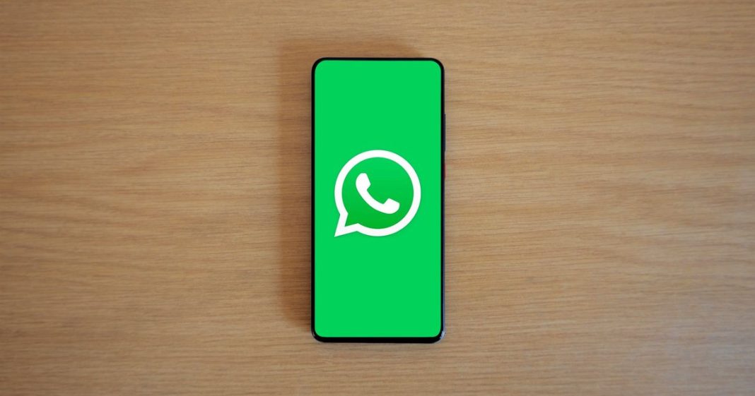 Denúncia via WhatsApp leva à laboratório de skunk, em Manaus