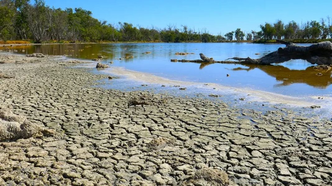 Super El Niño pode encarecer conta de luz em 2027, aponta estudo