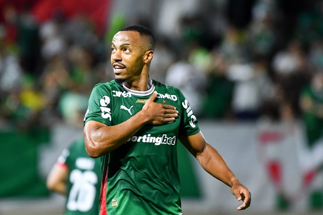 Palmeiras lidera o Brasileirão com 44 pontos e seis de vantagem sobre o Flamengo