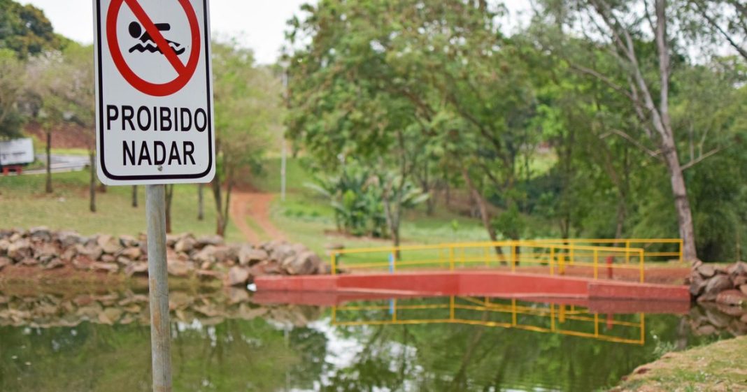 Galípolo alerta para alta no endividamento e aponta risco no crédito sem garantia