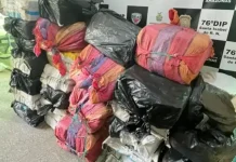 Polícia apreende 1,1 tonelada de maconha em Santa Isabel do Rio Negro