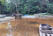 Estiagem afeta mais de 3 mil indígenas em Parintins; DSEI monitora impactos