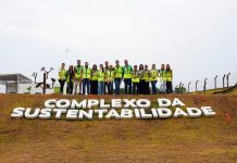 Aeroporto de Manaus planta ipês-amarelos no acesso ao terminal