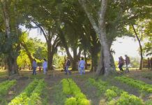 Região de Itapetininga promove contato com a natureza através do turismo rural
