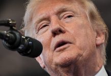 Tarifaço de Trump já derruba vendas de empresas brasileiras; veja o desafio para substituir os EUA