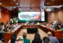 Governo federal reconhece situação de emergência em 36 municípios do AM por incêndios