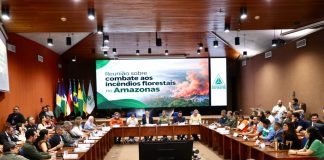 Governo federal reconhece situação de emergência em 36 municípios do AM por incêndios