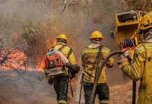 MPF pede reforço urgente no combate a queimadas e desmatamento no Amazonas