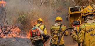 MPF pede reforço urgente no combate a queimadas e desmatamento no Amazonas