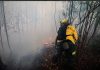 PF investiga possíveis incêndios criminosos no Amazonas