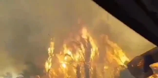 Carla Reis fala sobre incêndios criminosos e desmente fake news sobre Atalaia do Norte