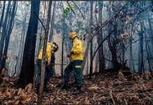 Ibama aplica R$ 2 milhões em multas durante fiscalização contra incêndios no Amazonas