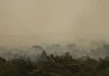 Força Nacional do SUS apoia atendimentos no Amazonas após incêndios