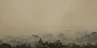 Força Nacional do SUS apoia atendimentos no Amazonas após incêndios