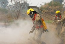Estiagem deixa 46 municípios em emergência no AM