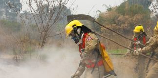 Estiagem deixa 46 municípios em emergência no AM