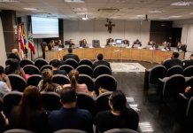 TRE-AM reafirma necessidade de prova robusta para caracterização de fraude à cota de gênero