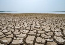 Instituto Mamirauá propõe 41 ações contra secas na Amazônia