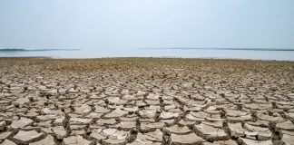 Instituto Mamirauá propõe 41 ações contra secas na Amazônia
