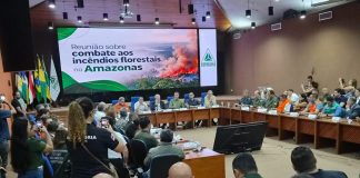 Suframa reúne órgãos federais e estaduais para coordenar combate aos incêndios florestais no Amazonas