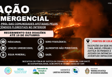 TJAM promove campanha solidária para ajudar vítimas de incêndios florestais no Amazonas