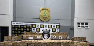 Mais de 1,3 tonelada de skunk, avaliada em R$ 28 milhões, é apreendida em Novo Airão Droga apreendida exposta na sede da Polícia Civil do Amazonas