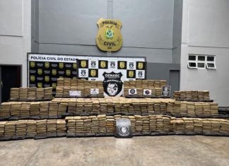 Mais de 1,3 tonelada de skunk, avaliada em R$ 28 milhões, é apreendida em Novo Airão Droga apreendida exposta na sede da Polícia Civil do Amazonas