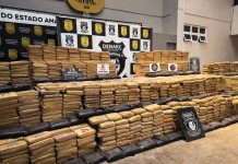 Polícia apreende 1,3 tonelada de maconha em sítio de Novo Airão