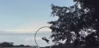 Vídeo mostra queda de avião que matou empresário amazonense em SP