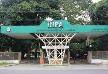 Inpa abre 10 vagas para mestrado em Botânica