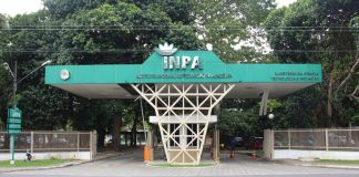 Inpa abre 10 vagas para mestrado em Botânica