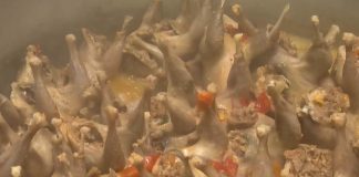 Além dos ovos: granja em SC cria codornas para consumo da carne e exporta metade da produção