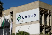 Conab sofre ataques hackers e alerta para possíveis falhas em seus sistemas