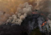 MPAM mobiliza capital e 61 promotorias do interior para atuação em emergência ambiental gerada por queimadas