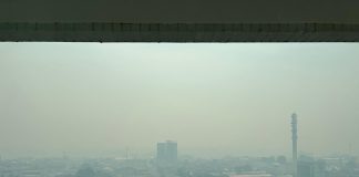 Prefeito de Manaus pede ajuda internacional diante do avanço da fumaça