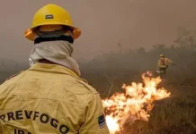 IA-FogoBio será utilizado no AM para antecipar ocorrência de incêndios