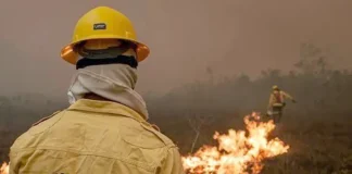 IA-FogoBio será utilizado no AM para antecipar ocorrência de incêndios