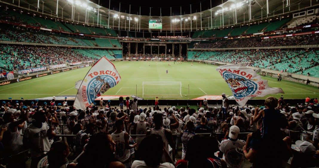 Fluminense x Palmeiras: onde assistir ao vivo, horário e transmissão