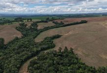 Ministro da Fazenda anuncia projeto para mirar centro da meta fiscal e diz que espera ‘racionalidade’ do mercado